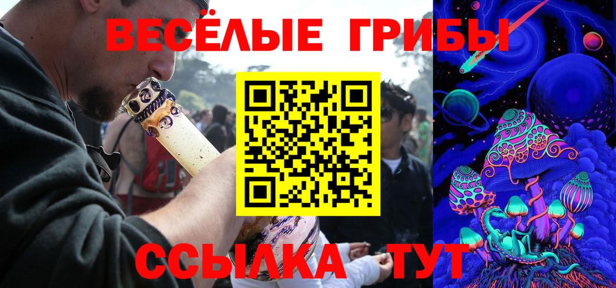 Псилоцибиновые грибы GOLDEN TEACHER  Вход с VPN  Мыски 