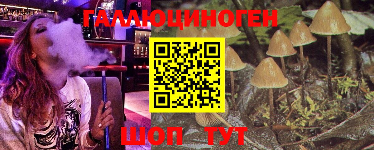 Псилоцибиновые грибы прущие грибы Мыски